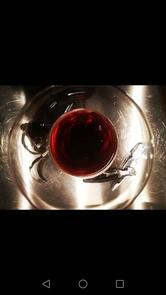 Origini vino & cucina