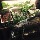 All'Arancio d'Oro da Cialfi