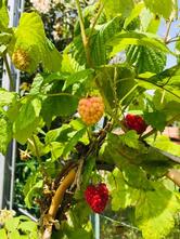 Agriturismo Su Barraccu Loceri