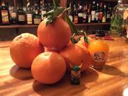 bar Loretto