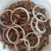 Recanto Nordestino Crateús