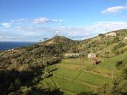 Ristorante Al Boscaccio