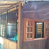 Restaurante Filho Meu