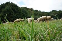 Agriturismo "Conicelle"