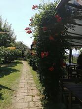 Il Pettirosso Sound Kitchen