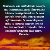 Bar Espetáculo Espetos e Petiscos Rio Branco AC