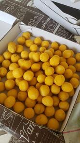 Qualittysalgados São Bernardo do Campo SP