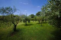 Agriturismo Buonasera