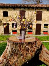 La Cantine da Gigi e Cristi