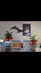 Antico caffè dei Cacciatori