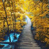 Espaço Alternativo Chico Xavier