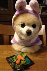 Casa de Delícias Novo Tempo