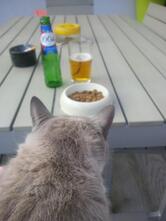 Pizzeria La Castellina