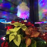 Bar La Perla di Antonella