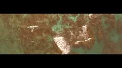 Le Jardin des Colombes