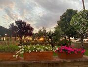 Trattoria La Campana Nettuno