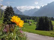 Albergo Ristorante Chalet Piereni