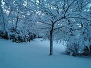 Agriturismo Muggiana