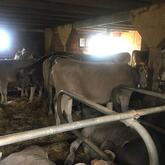 Bergrestaurant Atzmännig /Harz