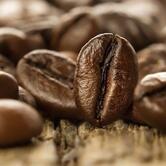 Gara Caffetteria e Specialità