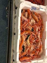 Ristorante Costa Paradiso 2