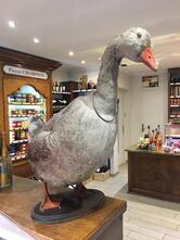 Le Gourmand Du Sud-Ouest