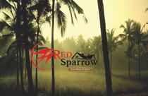 RED Sparrow