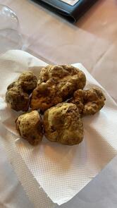 Tra Arte e Querce - Guest House (Monchiero)