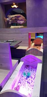 MISU Ristorante Alessandria