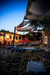 Wild Bar