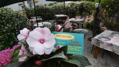 Bar Trattoria Allegria e cucina Casereccia