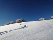 Bar Ristorante Pizzeria Camping Polsa