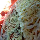 Dorigo's Pizzaria e restaurante.