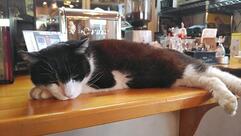 カフェ よくなるよくなる