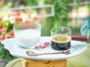 Cozy Creek Khaoyai (โคซี่ครีค เขาใหญ่)