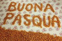 Pensione Ristorante Santina