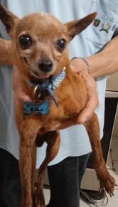 Internacional Paes e Doces