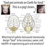 Grüner Gaumen Vegan Foods Bern