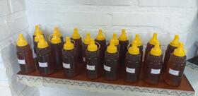 Aconchego da Tia Lúcia