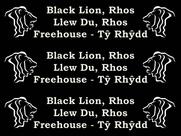 the Black Lion