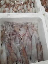 La Paranza San Silvestro