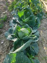 Bar Marco - Ristorante