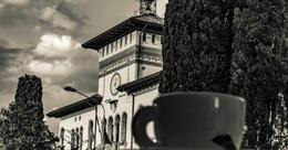 Pane & Caffè Centro Studi