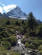 Alpenhof Bar & Cigar Lounge