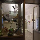 La Tana Del Polpo Take Away Panini e Food Bari