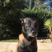 Le saint andré Saint-André-de-la-Roche