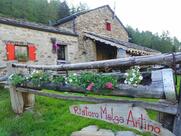 Ristoro Malga Artino