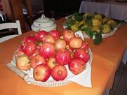 Ristorante Sardo Parco di Bunnari