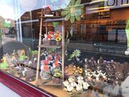 Patisserie Debrouwere