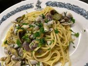 Il Corsaro Barberini